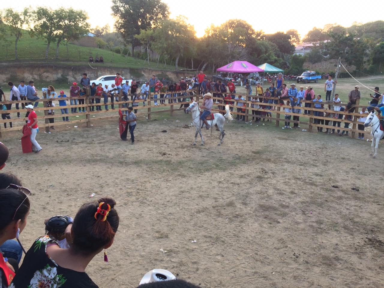 toros1
